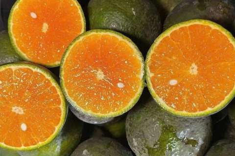 Hỗ trợ tổng hợp collagen từ hoa quả giàu vitamin C mà không ảnh hưởng dạ dày
