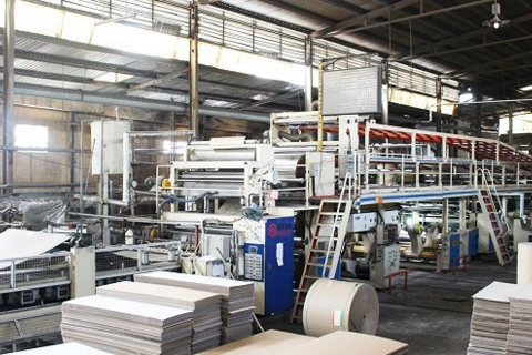 Giấy Việt Trì (GVT) chi gần 35 tỷ đồng trả cổ tức, lợi nhuận năm 2025 tăng gần 78%