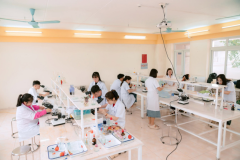 Chính phủ yêu cầu xử lý dứt điểm vụ Đại học Kinh Bắc, bảo đảm quyền lợi sinh viên
