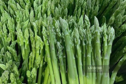 Tăng cơ bắp bằng những loại rau phổ biến