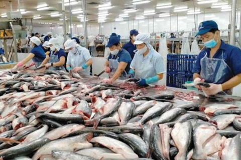 Xuất khẩu thủy sản hướng tới mốc 11 tỷ USD: Nhiều thách thức cho nửa cuối năm