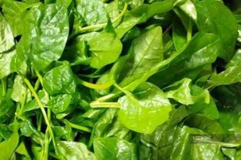 Mức độ rau mồng tơi tốt cho gan