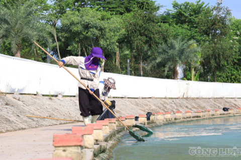 Hà Nội: Hồ điều hòa nổi váng đặc quánh, bốc mùi hôi thối
