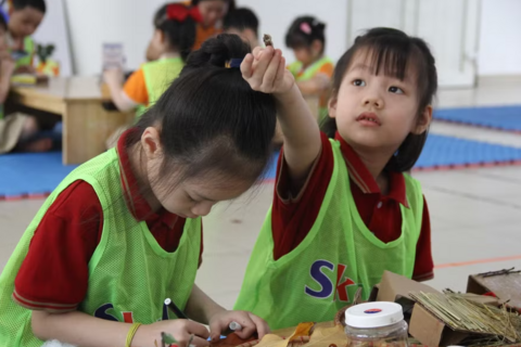 Tái cấu trúc mạng lưới trường học: Đo bằng chất lượng chứ không phải số lượng
