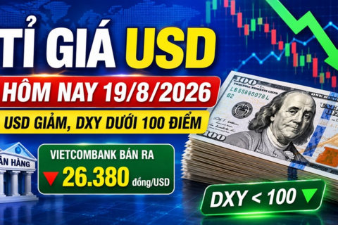 Tỉ giá USD hôm nay 19.8.2026: Giá ngân hàng quay đầu giảm, DXY dưới 100 điểm