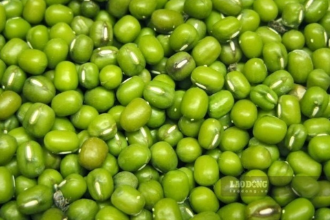 Hỗ trợ gan khỏe hơn khi uống nước đậu xanh