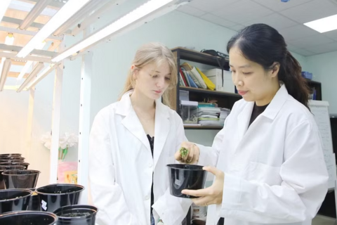 Mở rộng cơ hội học tập và nghiên cứu ở nước ngoài