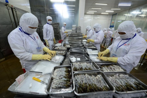 Nông, lâm, thủy sản xuất siêu hơn 14 tỉ USD trong 8 tháng năm 2026