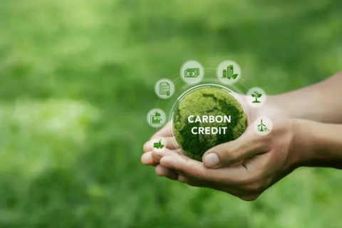 Biến ‘không khí’ thành tiền: Cơ hội tỷ đô từ sàn giao dịch carbon