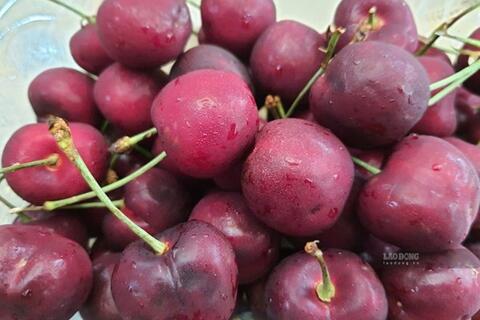 Loại quả hỗ trợ hạ axit uric và kiểm soát đường huyết