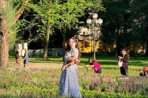 Vườn hoa violet thơ mộng thu hút giới trẻ check-in mùa thu Hà Nội