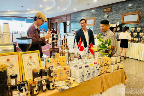 Gia Lai: Mở lối tiêu thụ nông sản bằng chuyển đổi số và thương mại điện tử