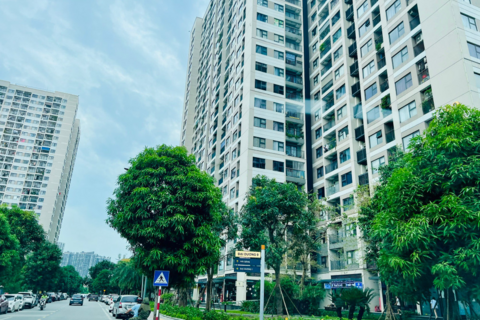 Thu nhập tăng 9%, giá nhà tăng 25% mỗi năm: Người Hà Nội bao giờ mua được nhà?