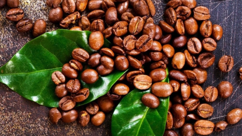 <a href="/tin-kinh-te" title="Tin kinh tế" rel="dofollow">Tin kinh tế</a>