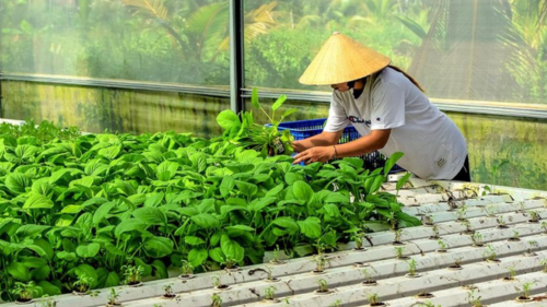 <a href="/so-hoa" title="Số hóa" rel="dofollow">Số hóa</a>