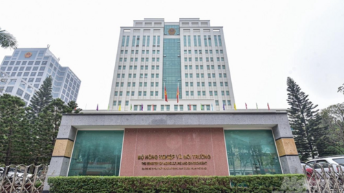 <a href="/tin-kinh-te" title="Tin kinh tế" rel="dofollow">Tin kinh tế</a>