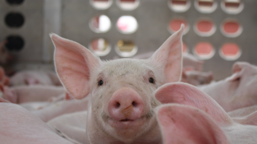 <a href="/tin-kinh-te" title="Tin kinh tế" rel="dofollow">Tin kinh tế</a>