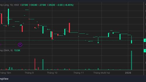 <a href="/tin-kinh-te" title="Tin kinh tế" rel="dofollow">Tin kinh tế</a>