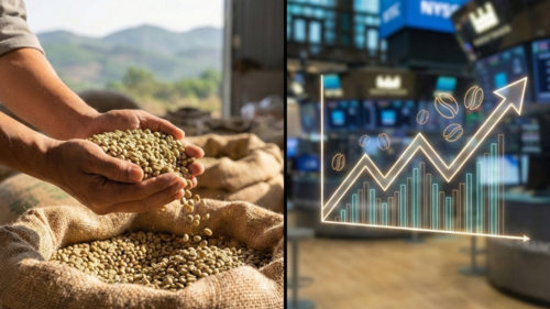 <a href="/tin-kinh-te" title="Tin kinh tế" rel="dofollow">Tin kinh tế</a>