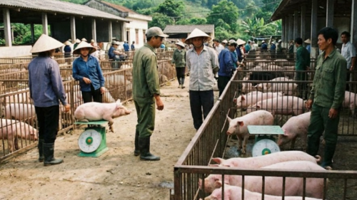 <a href="/tin-kinh-te" title="Tin kinh tế" rel="dofollow">Tin kinh tế</a>