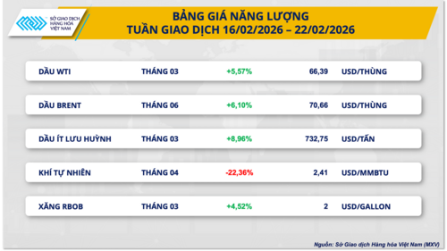<a href="/tin-kinh-te" title="Tin kinh tế" rel="dofollow">Tin kinh tế</a>