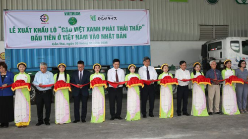 <a href="/tin-kinh-te" title="Tin kinh tế" rel="dofollow">Tin kinh tế</a>