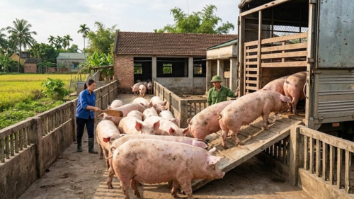 <a href="/tin-kinh-te" title="Tin kinh tế" rel="dofollow">Tin kinh tế</a>