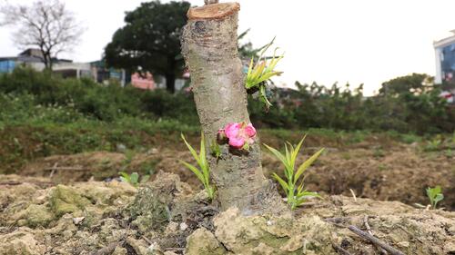 <a href="/tin-kinh-te" title="Tin kinh tế" rel="dofollow">Tin kinh tế</a>