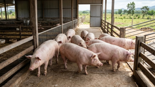 <a href="/tin-kinh-te" title="Tin kinh tế" rel="dofollow">Tin kinh tế</a>