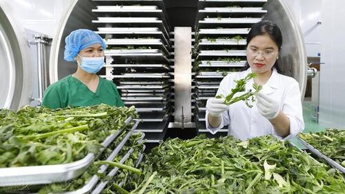 <a href="/tin-kinh-te" title="Tin kinh tế" rel="dofollow">Tin kinh tế</a>