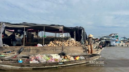 <a href="/tin-kinh-te" title="Tin kinh tế" rel="dofollow">Tin kinh tế</a>