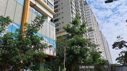 <a href="/tin-kinh-te" title="Tin kinh tế" rel="dofollow">Tin kinh tế</a>