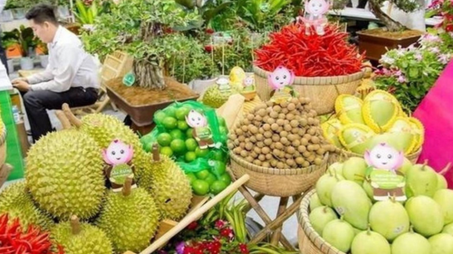 <a href="/tin-kinh-te" title="Tin kinh tế" rel="dofollow">Tin kinh tế</a>