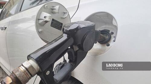 <a href="/tin-kinh-te" title="Tin kinh tế" rel="dofollow">Tin kinh tế</a>