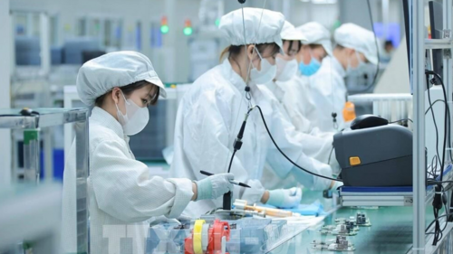 <a href="/tin-kinh-te" title="Tin kinh tế" rel="dofollow">Tin kinh tế</a>