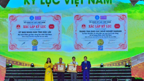 <a href="/tin-kinh-te" title="Tin kinh tế" rel="dofollow">Tin kinh tế</a>