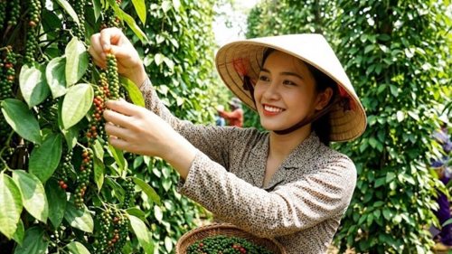 <a href="/tin-kinh-te" title="Tin kinh tế" rel="dofollow">Tin kinh tế</a>