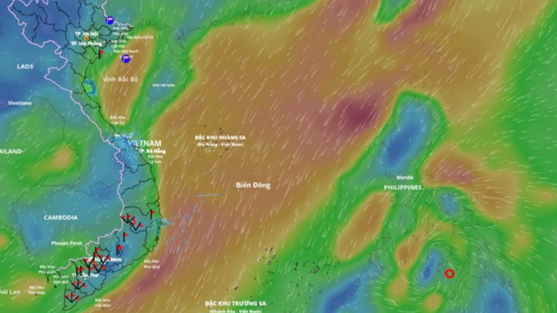 Đón bão số 15 trên Biển Đông trong 24 giờ tới, nguy cơ mạnh lên giật cấp 12