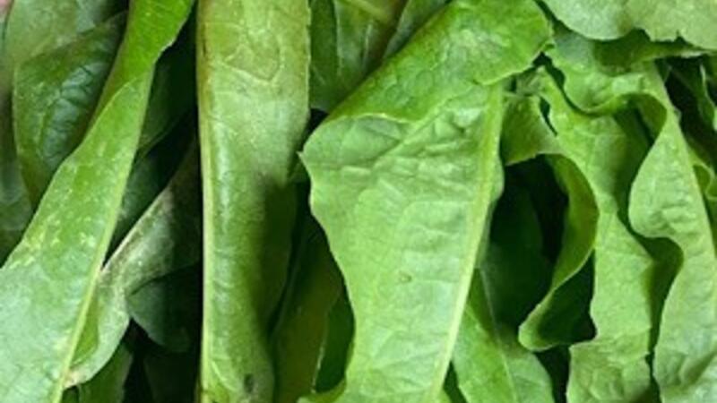 Loại rau ít được để ý lại có thể hỗ trợ giải độc gan, giúp ngủ ngon hơn