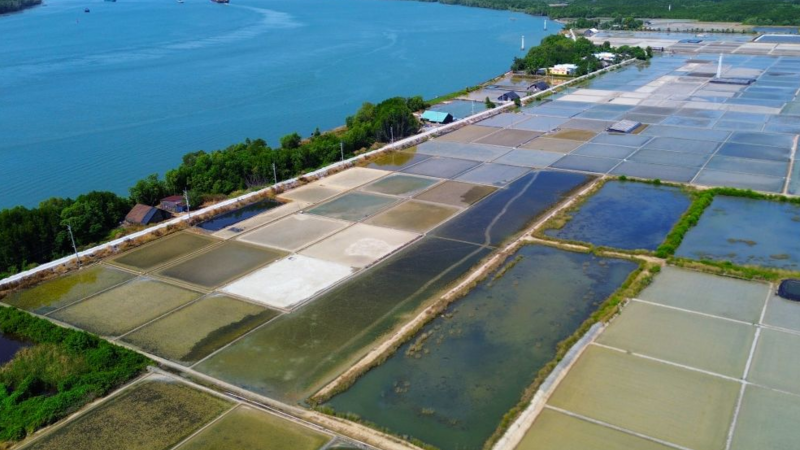 Người dân Thiềng Liềng làm du lịch và hành trình tìm vị ngọt trên ruộng muối