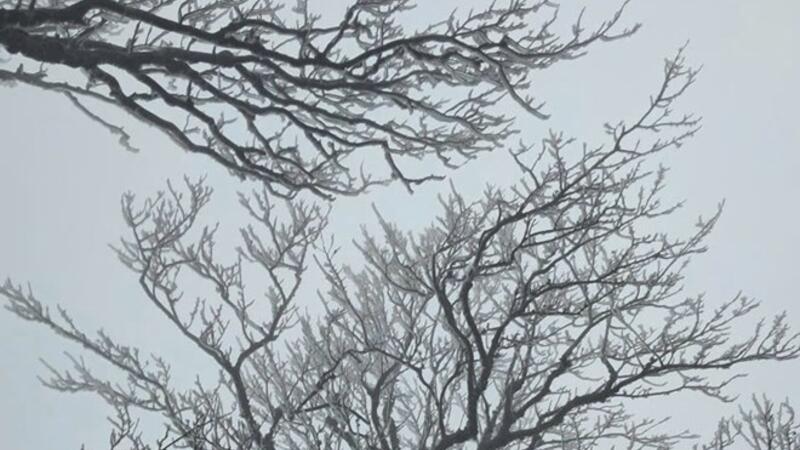 Rét hại bao trùm, thấp nhất chỉ còn 2 độ C, Mẫu Sơn tiệm cận ngưỡng băng giá