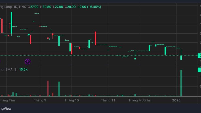Công ty Đồ hộp Hạ Long doanh thu 600-800 tỉ đồng/năm nhưng lãi mỏng