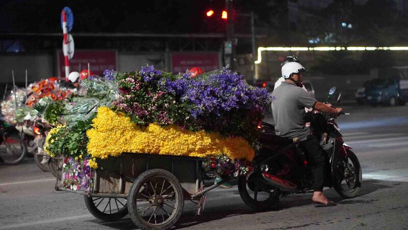 Rằm tháng Giêng, tiểu thương xuyên đêm chọn hoa tại chợ hoa đầu mối