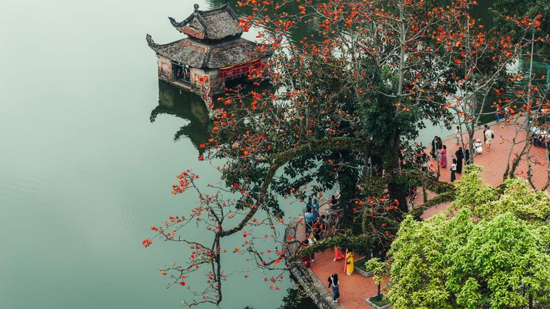 Mùa hoa gạo như thắp lửa từ phố thị đến làng quê ngoại ô Hà Nội