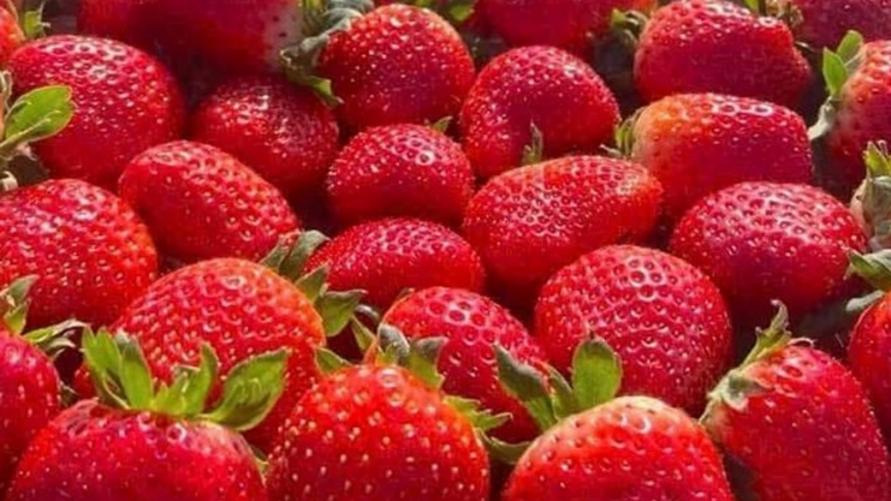 Cách chọn loại trái cây làm da đẹp nhất