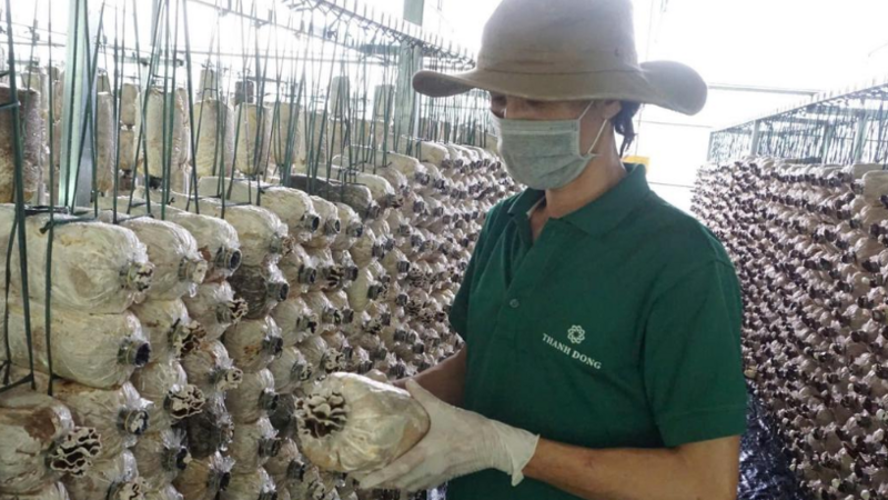 Đắk Lắk: Tăng lực cho doanh nghiệp nhỏ và vừa