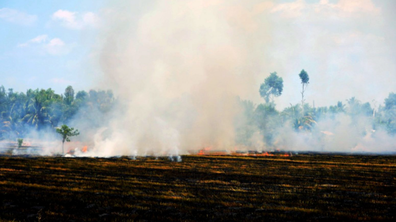 Đốt đồng sau thu hoạch và hệ lụy từ những đốm đỏ chằng chịt trên bản đồ vệ tinh