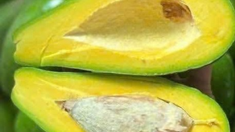 Quả bơ - loại trái cây hỗ trợ giảm cân - nên ăn tươi hay làm sinh tố