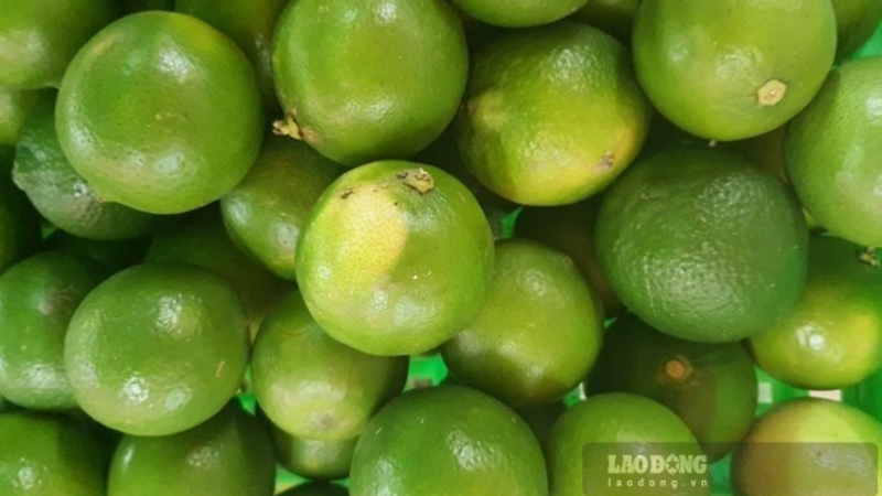 Người bệnh gout cần giữ thói quen uống nước chanh để hỗ trợ hạ axit uric