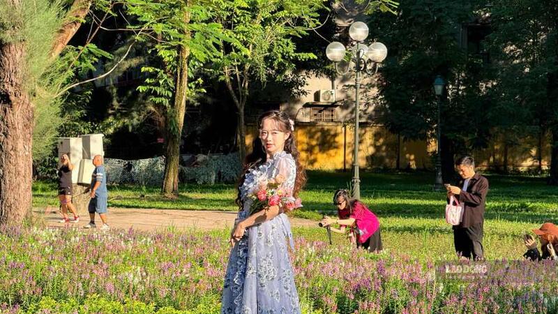 Vườn hoa violet thơ mộng thu hút giới trẻ check-in mùa thu Hà Nội